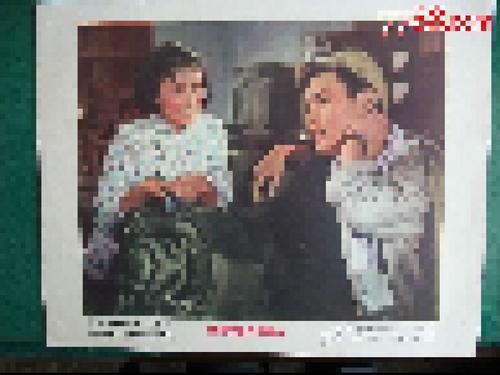 制作玻利维亚驾驶证